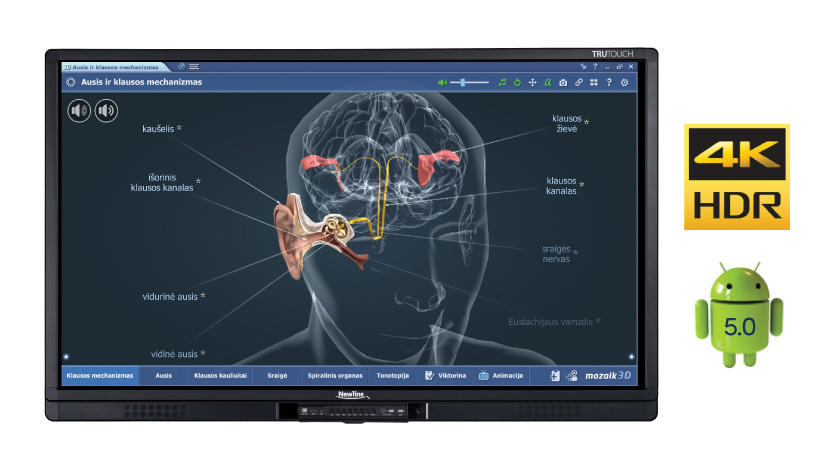 Interaktyvus ekranas NEWLINE TRUTOUCH EDUCATION
